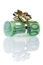 Money gift of 100 euro Royalty Free Stock Photo