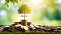 money growht in soil and tree concept, business success finance Royalty Free Stock Photo