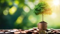 money growht in soil and tree concept, business success finance Royalty Free Stock Photo