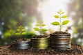 Money growing concept,Business success concept, Tree growing