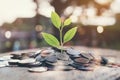 Money growing concept, Plant on pile coins with night bokeh lights background.