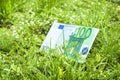 The money. Growing euro. Finance bill 100 euros. Green grass Royalty Free Stock Photo