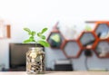 Money growing plant on coin glass bottle in business office