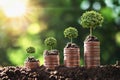 money growing step with tree and sunrise. concept finance  accounting Royalty Free Stock Photo