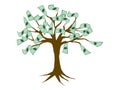 Money growing on tree