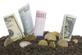 Money grows from the humus concept