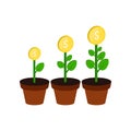 Money growth concept symbol. Flat Isometric Icon or Logo Royalty Free Stock Photo