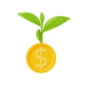 Money growth. Investment concept. Finance and Money. Royalty Free Stock Photo