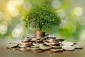 Money growth Saving money. Upper tree coins to shown concept of growing business Royalty Free Stock Photo