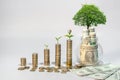 Money growth Saving money. Upper tree coins to shown concept of growing business Royalty Free Stock Photo