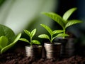 Money growth in soil and tree concept, business success finance