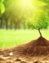 money growth in soil and tree concept , business success finance with sunshine in nature