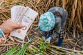 Money in hand sugarcane farmers, banknote money thai baht in the hand at sugarcane plantation field in sugar cane harvest season Royalty Free Stock Photo