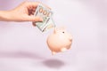 Money holding concept. Saving symbol - Close-up Of A woman Hand puts a 100 dollar bill in Pink Piggy Bank. Royalty Free Stock Photo