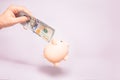 Money holding concept. Saving symbol - Close-up Of A woman Hand puts a 100 dollar bill in Pink Piggy Bank. Royalty Free Stock Photo