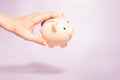 Money holding concept. Saving symbol - Close-up Of A woman hold a Piggy Bank Royalty Free Stock Photo