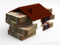 Money for house Royalty Free Stock Photo