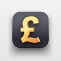 Money icon. Symbol of Gold Pound