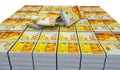 Money of Israel. Israeli new shekel bills. ILS banknotes. 100 shekels. Business, finance, news background. 3d illustration