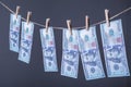 Close-up of money, dried on the ropes, fastened with clothespins. The concept of drying money. On a gray background Money