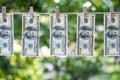 Money Laundering. Money Laundering US dollars hung out to dry. 100 dollar bills hanging on clotheslines Royalty Free Stock Photo