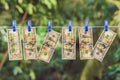 Money Laundering US dollars hung out to dry Royalty Free Stock Photo