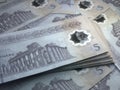 Libyan money. Libyan dinar banknotes. 5 LYD dinars bills