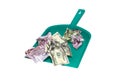 Money Like A Garbage Royalty Free Stock Photo