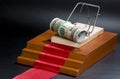 Money in a mousetrap on the red carpet and black background. Royalty Free Stock Photo