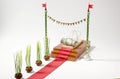 Money in a mousetrap on the red carpet and white background. Royalty Free Stock Photo
