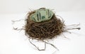Money nest egg saving for future, investment concept.