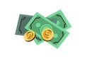 Money, paper banknotes and coins. Cash, dollar bills. American finance, bank notes icon. Earnings, revenue, income