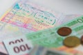 Money and passport with visa stamps Royalty Free Stock Photo