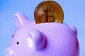 Money piggy bank and bitcoin as an abstract symbol of digital currency and Internet banking Royalty Free Stock Photo