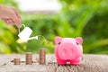 Money and piggy bank with woman hand hold watering can, Growth