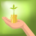 Money with plant growing from coins in hand Vector illustration.Saving money for investing Royalty Free Stock Photo