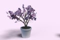 Money Plant In White Pot With Lavender Background 3D Render Royalty Free Stock Photo