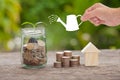 Money and plant with woman hand hold watering can and tree, Sav