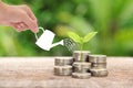 Money and plant with woman hand hold watering can and tree, Sav