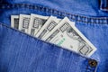 Money in the pocket Royalty Free Stock Photo