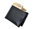 Money purse Royalty Free Stock Photo