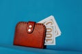 Money in a red purse on a blue background Royalty Free Stock Photo