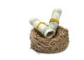 Money rolls in nest on white Royalty Free Stock Photo