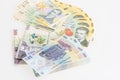 Money Romanian Leu Stack Royalty Free Stock Photo