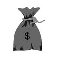 money sack or treasure icon