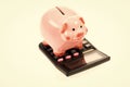 money saving. Accounting and payroll. income capital management. planning and counting budget. moneybox with calculator