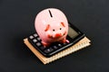 Money saving. Accounting and payroll. moneybox with calculator. Piggy bank. bookkeeping. financial problem. income