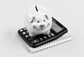 money saving. Accounting and payroll. moneybox with calculator. Piggy bank. income capital management. bookkeeping or