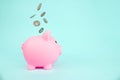 Money saving for future investment and retirement concept. concept theme with a pink piggy bank with falling coins Royalty Free Stock Photo