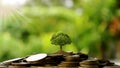 Money saving ideas. Trees grow on coins